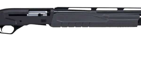 Savage Arms 57602 Renegauge Field 12 Gauge 3" 4+1 28" Barrel, Matte Black Receiver, Matte Gray Monte Carlo Adjustable Comb Stock