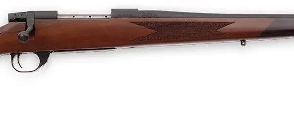 Weatherby VDT243NR2T Vanguard Sporter Full Size 243 Win 5+1 22" Bead Blasted Blued #2 Threaded Barrel, Matte Blued Drilled & Tapped Steel Receiver, Grade A Walnut Monte Carlo Stock