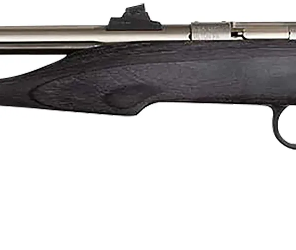 Chipmunk 40103 Hunter  Youth Frame 22 LR Single Shot 9" Threaded Stainless Steel Barrel, Black Laminate Frame