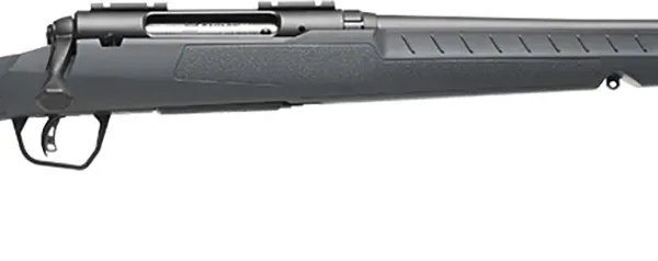Savage Arms  Axis 2 Compact Gray 400 Legend 4+1 20" Right Hand