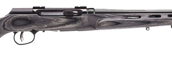 Savage Arms 47215 A22 Target Full Size Semi-Auto 22 LR 10+1 22" Barrel, Satin Black Metal Finish & Fixed Thumbhole Gray Laminate Stock