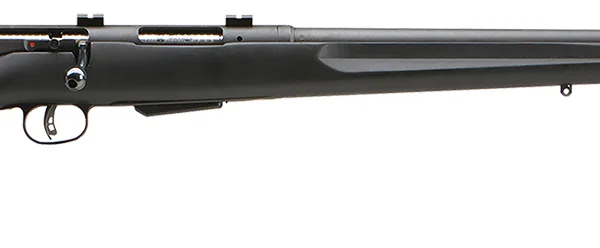 Savage Arms 19156 25 Walking Varminter 204 Ruger Caliber with 4+1 Capacity, 22" Barrel, Matte Black Metal Finish & Matte Black Synthetic Stock Right Hand (Full Size)
