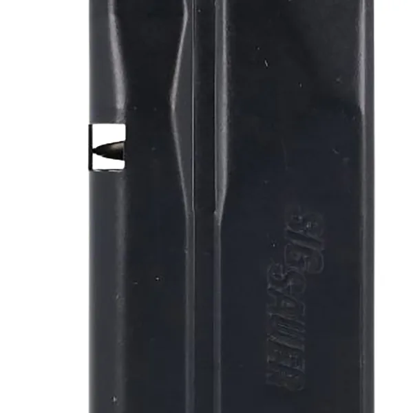 Sig Sauer 8900714 P365  10rd Flush Fit 380ACP Black Steel