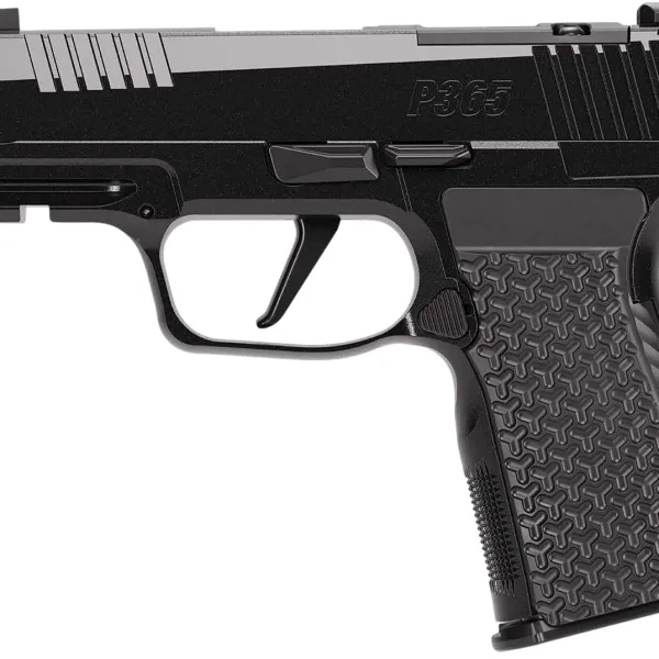 SIG 365AXG380COMPLUXE P365 380 3.1 OR 12R