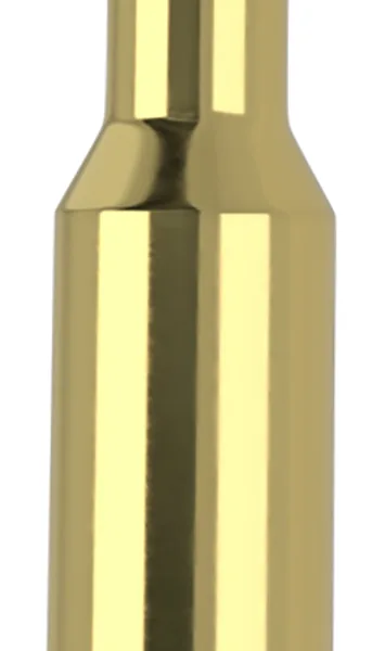 Nosler 61035   300WSM 165gr Ballistic Tip 20 Per Box/10 Case