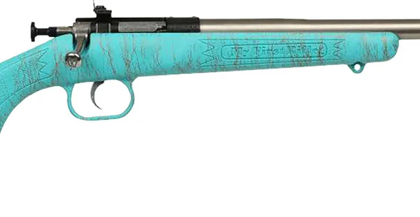Crickett KSA2446 Gen2  Youth 22 LR 1rd 16.13" Stainless Single Shot Barrel, Stainless Steel Receiver, Blue w/Gold Webbing Fixed Synthetic Stock