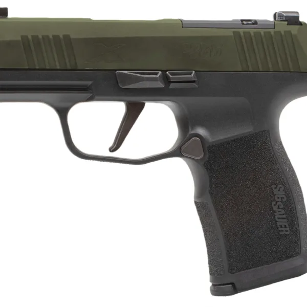 Sig Sauer 365X9GXR3P P365X  Micro Compact Frame 9mm Luger 12+1 3.10" Stainless Steel Optic Ready/Serrated Slide, Stainless Steel Frame w/Accessory Rail, RMSc Footprint
