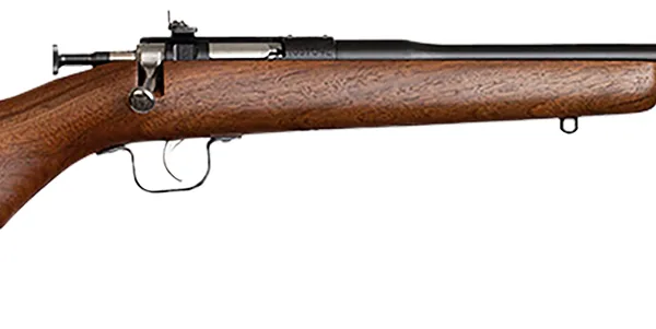 Chipmunk 00001 Youth  22 LR 1rd 16.13" Blued Steel Barrel & Receiver, American Walnut Fixed Wood Stock