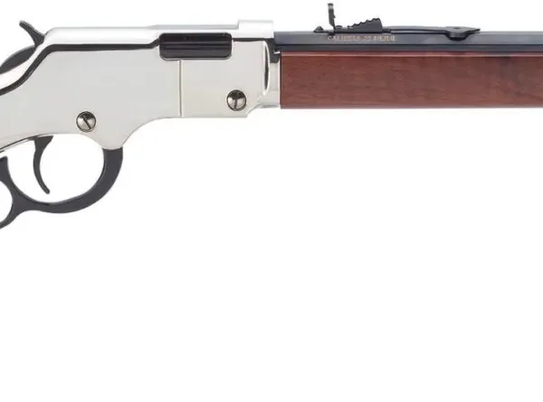 HENRY REPEATING ARMS H4 GOLDEN BOY SILVER 22LR