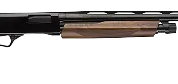 Winchester Repeating Arms 512451691 SXP High Grade Field 20 Gauge 3" Chamber 5+1 (2.75") 26", Gloss Blued Barrel/Rec, High Grade Turkish Walnut Furniture, TruGlo Fiber Optic Sight