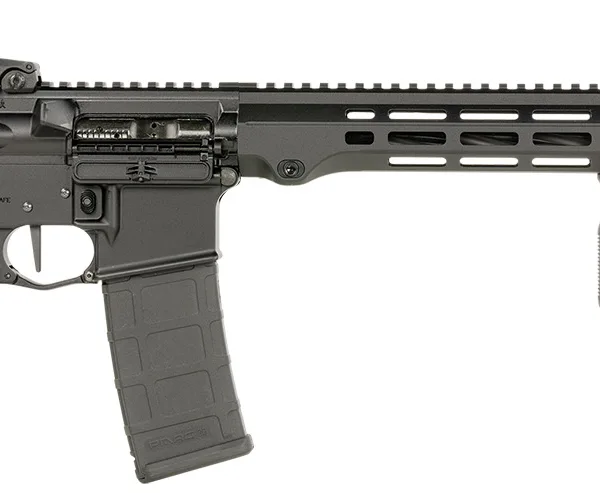 Maxim Defense MXM49737 MD15 L 5.56x45mm NATO 30+1 16" Fluted Barrel, Black, M-LOK Handguard, Magpul Furniture, SL-K Stock, MBUS Sights, Blackout Defense Flat Trigger