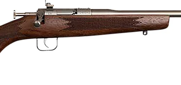 Chipmunk 10002 Deluxe The Original Youth Deluxe Single Shot 16.10" Satin Tapered Barrel, Satin Stainless Steel Receiver, Fixed American Walnut Stock, EZ Loader