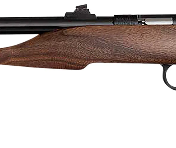 Chipmunk 40001 Hunter  Youth Frame 22 S/L/LR Single Shot 9" Threaded Blued Steel Barrel, Walnut Frame, EZ Loader