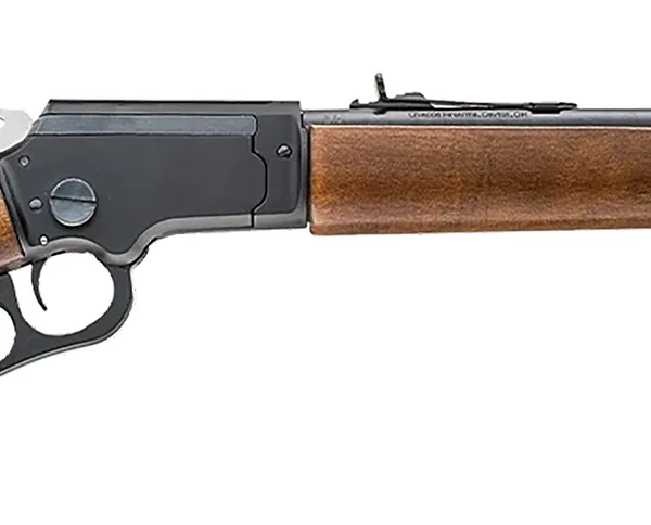 CHIAPPA FIREARMS LA BANDIT TAKEDOWN 22LR 12"