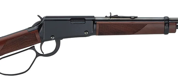 Henry H001MML Mare's Leg  22 WMR 8+1 12.88" Blued Round Fixed American Walnut Stock
