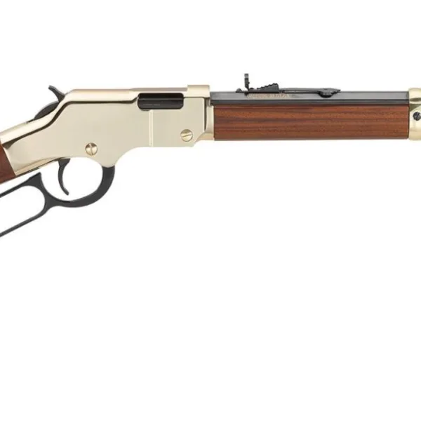 HENRY REPEATING ARMS H4 GOLDEN BOY 17HMR BL/WD
