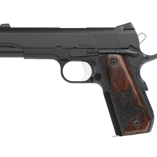 CZ DAN WESSON DW GUARDIAN 9MM 9+1