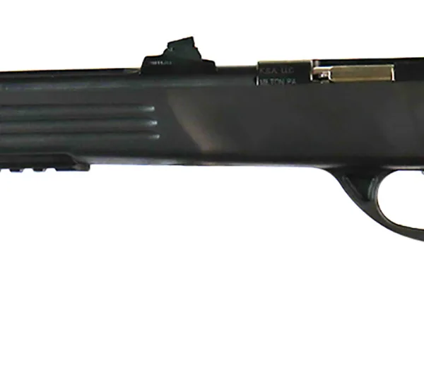 Crickett KSA693 Adult Pistol  22 LR 1rd 10.50" Blued Threaded Barrel w/Cap, Williams Fire Sights, Integrated Picatinny Accessory Rail, Synthetic Grip, Rebounding Firing Pin Safety