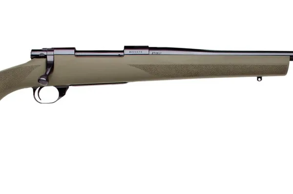HOWA HOGUE 243WIN GRN 22" TB