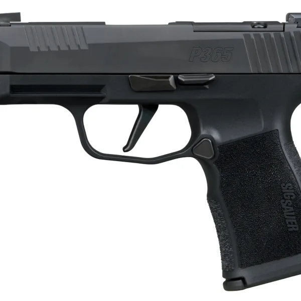 Sig Sauer 365XL380COMPMS P365XL  380 ACP 12+1 3.10" Black Ported Barrel, Black Nitron Stainless Steel Optic Cut/Ported/Serrated Slide, Black Stainless Steel Frame w/Picatinny Rail, Textured Grip, SIG-