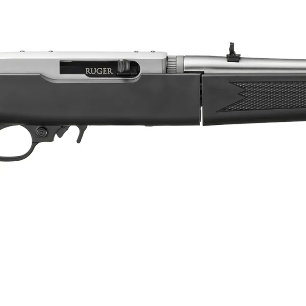 RUGER 10/22 TD 22LR SS/SYN 18.5"