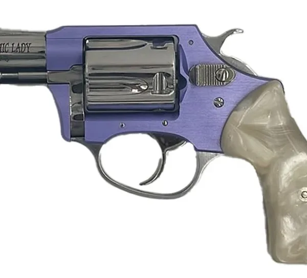 CHARTER ARMS CHARTER CHIC LADY 38SPC LAV/SS