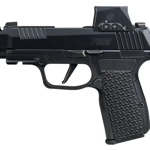 SIG SAUER P365 AXG LUXE 380ACP 12+1 ROMX