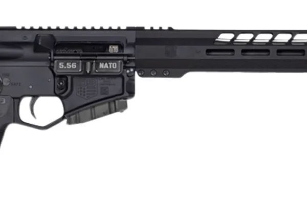 Diamondback DB1791K001 DB15 *CA Compliant 5.56x45mm NATO 16" 10+1 Black Adjustable Magpul CTR Stock Black Magpul MOE K2 Grip with Black Gold Lower