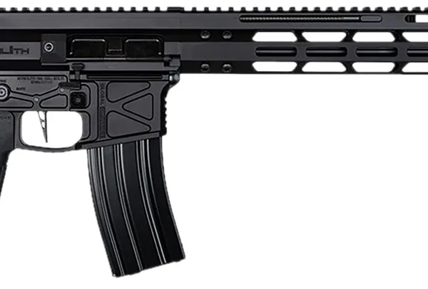 Global Ordnance LLC 197892003223 Monolithic  5.56 NATO 16" Barrel, M-LOK Handguard, Modular Black Stock, Black Polymer Grip