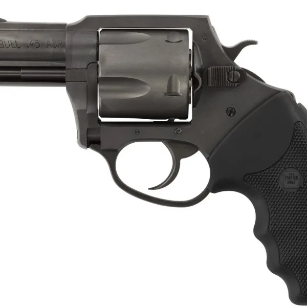 CHARTER ARMS CHARTER PITBULL 45ACP NIT 2.5"