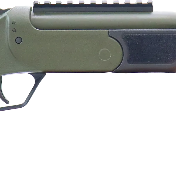 ROSSI BRAWLER 300BLK 9" BL/ODG     #