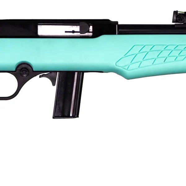 ROSSI RS22 22LR BLK/TEAL 18" 10+1  #