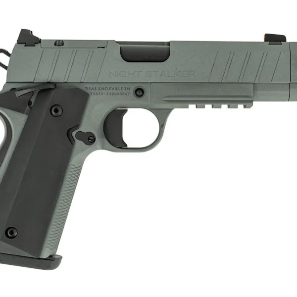 TISAS NIGHT STALKER COMP 10MM GRY  #